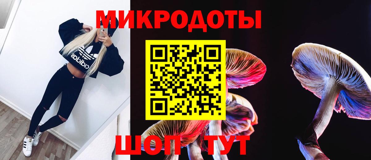 Галлюциногенные грибы Psilocybe Алексин